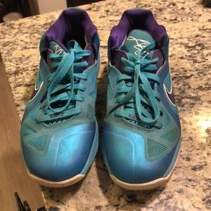 Lebron James Nike Low Hornets